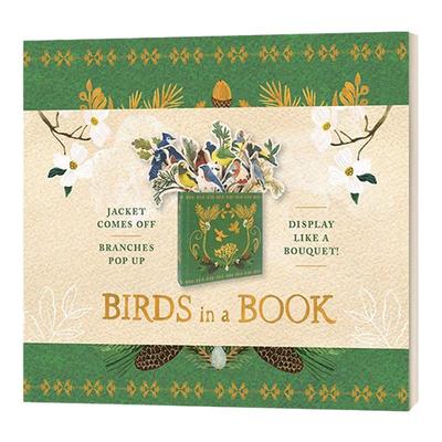 Birds In A Book Uplifting Editions 创意鸟笼活动书 英文原版