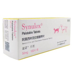 速诺猫消炎片阿莫西林克拉维酸钾片宠物猫药兽用进口消炎药狗狗