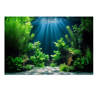 新款水草缸造景高级鱼缸背景贴纸图5d立体高清图立体画正胶自粘