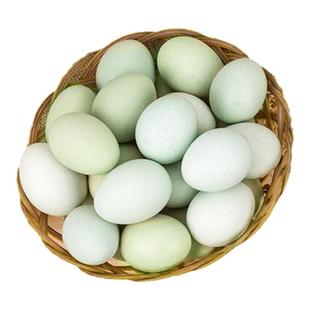 顺丰】生毛鸡蛋40个18天营养毛蛋活珠子新鲜喜蛋凤凰蛋鸡胚胎包邮