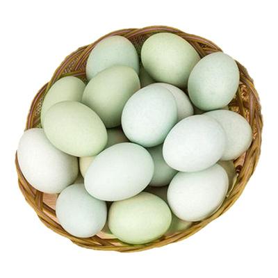 生毛鸡蛋40个营养毛蛋活珠子