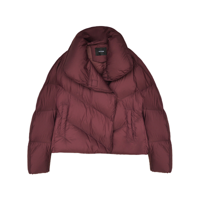 通勤锦纶短款鹅绒羽绒服女秋冬