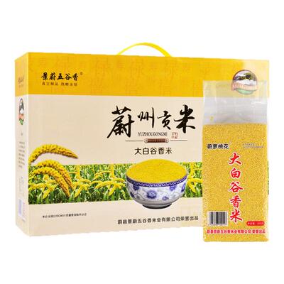 黄小米蔚县小黄米香糯粘稠贡米