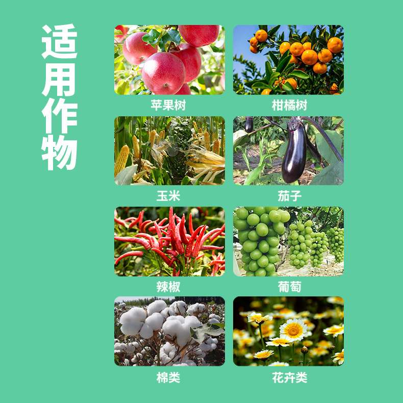 哈茨木霉菌枯草芽孢杆菌农用生根壮苗防腐微生物菌剂水溶肥冲施肥