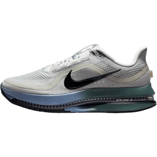 盛世长运nike耐克夏男PEGASUS PREMIUM运动训练跑步鞋HQ2592-017
