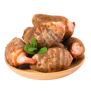 云南牛奶小芋头新鲜粉糯山农家现挖洋芋小香芋商用毛芋头仔芋圆东