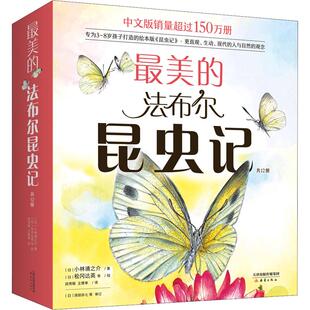 最美的法布尔昆虫记 全套共12册 3~4-6-8周岁儿童自然 科普百科昆虫记绘本版彩图名著经典儿童文学小学生二三四年级课外读物爱心树