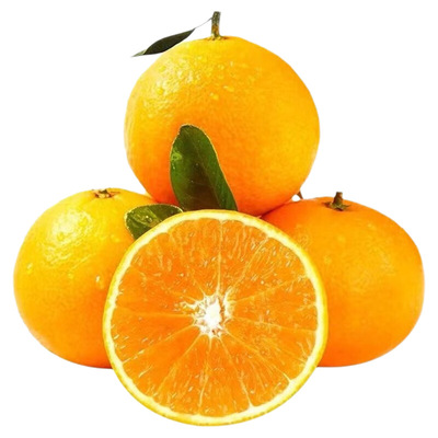 爱媛38号精品果冻橙四川眉山