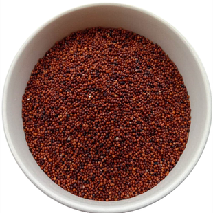 农家鸭爪粟新鲜糁子五谷杂粮铲子米鸡爪谷拳头粟红黄粟米鸭脚粟米