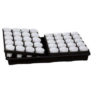 4.6cm厚八角多肉塑料盆托架浸水盘整理组合肉锥番杏生石育苗花盆