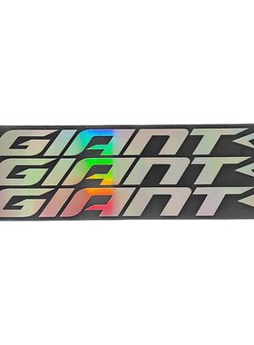 自行车下管贴纸涂装改色logo