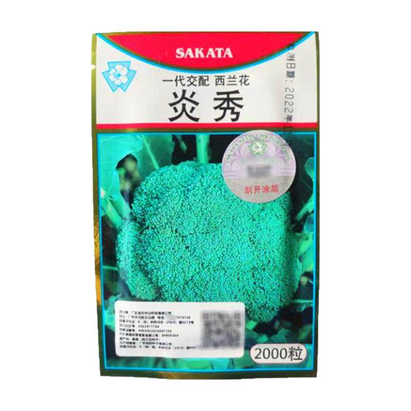 坂田炎秀西兰花种子籽西蓝花种籽