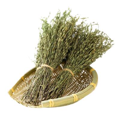 广西野生独脚金小童新鲜草药独角消积旗舰店官方正品金草厌食挑食
