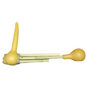 芦笙九寸南涧县巍山景东五管彝族小九点打跳厂家直销