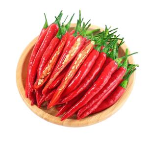 朝天椒种苗辣椒秧苗小米辣青椒树苗苗子四季种植盆栽蔬菜苗孑大全