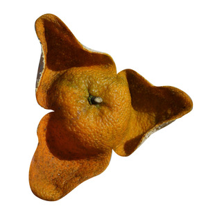 谊沏2025年茶枝柑干皮江门礼乐大红皮1斤2斤3斤新会发货