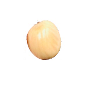 天然象牙果原果手球手把件保真打磨精抛光风化白黄果文玩男