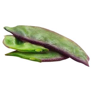 紫边眉豆种子茶豆角梅豆角扁豆高产早熟春秋阳台盆栽四季蔬菜籽孑