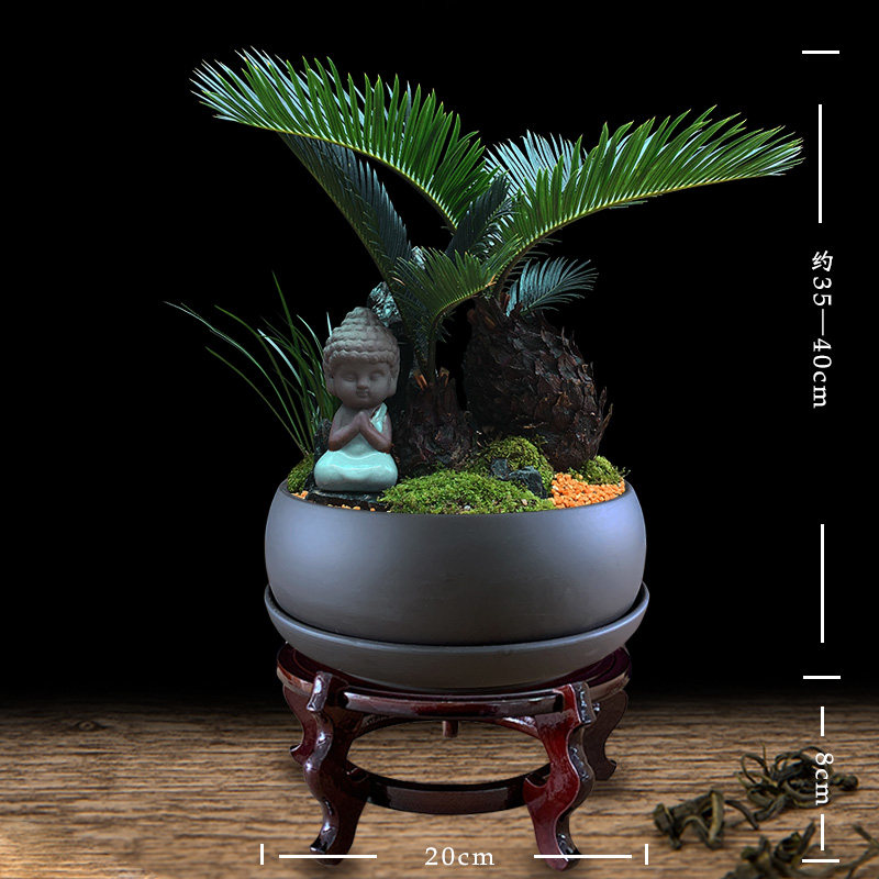 铁树盆栽室内植物好养适合客厅办公室绿植玄关招财石山名贵大盆景