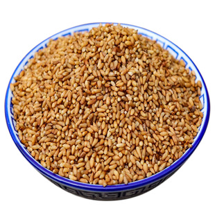 优质野生柏子仁中药材正品正宗中药柏子仁酸枣仁组合泡水睡眠安神