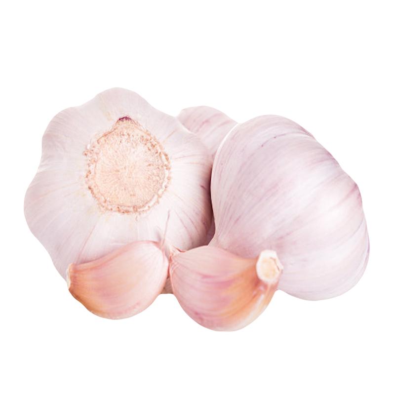 【千牛优福】新鲜干大蒜头500g蒜种籽农家自种当季蔬菜白皮紫皮蒜