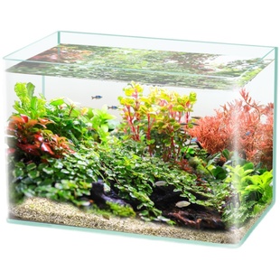 yee超白玻璃热弯鱼缸桌面小型加厚缸客厅水草造景生态乌龟缸裸缸