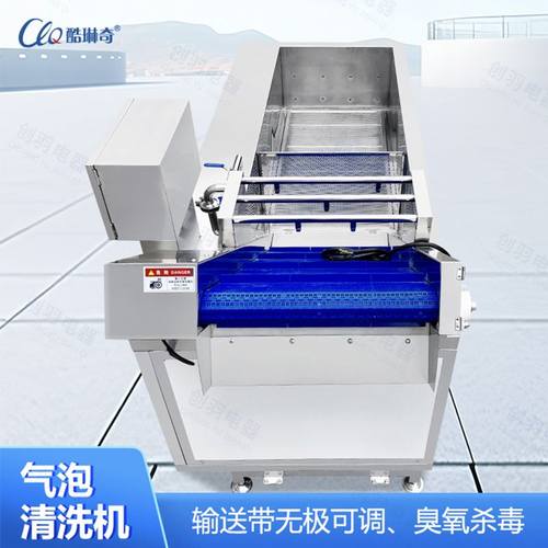 优选果蔬番茄叶菜类水果苹果李子气泡鼓泡式清洗机 生产厂家