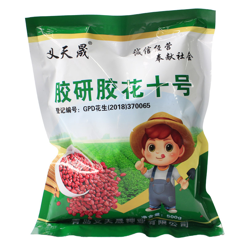 红皮花生种子胶研胶花十号早熟高产大粒山东红衣花生南方北方种