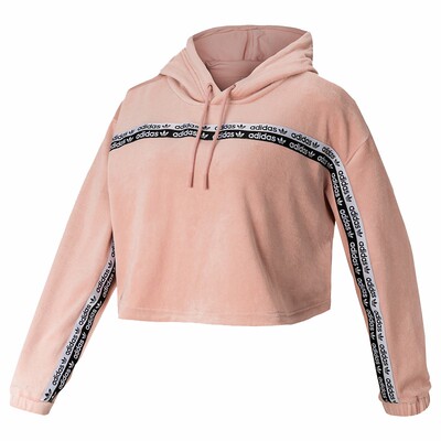 阿迪达斯女子短款运动卫衣