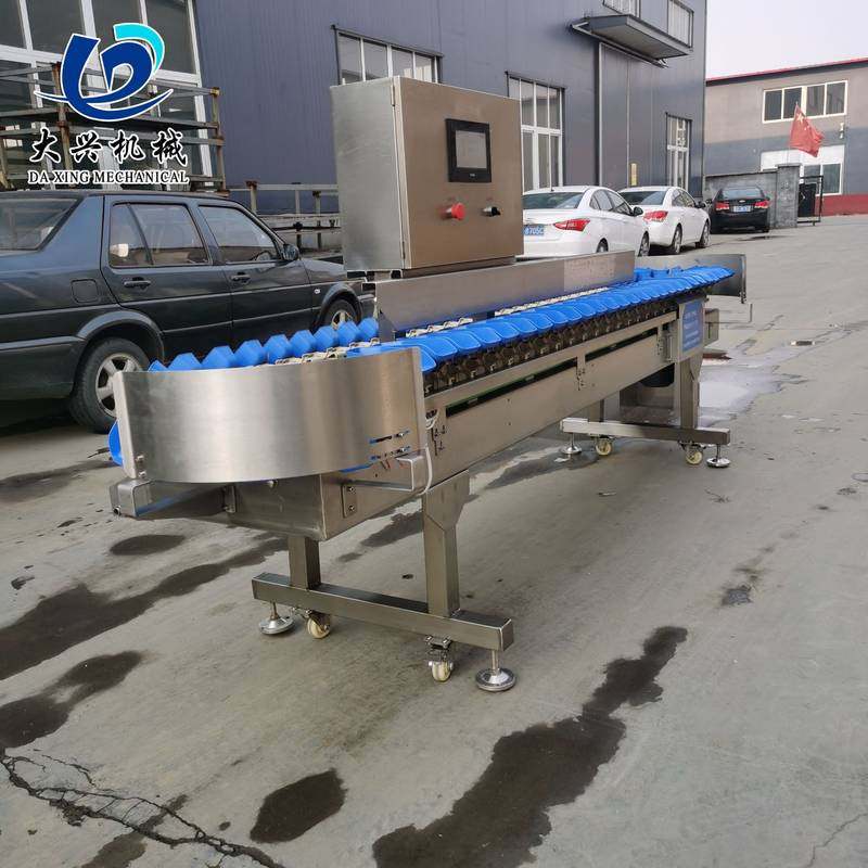 商用火龙果称重分拣机橙子红薯玉米重量分选设备果蔬鱼类分级机,清洗/食品/商业设备,选果机/分选机,淘宝优惠券,粉丝福利购,淘宝优惠卷