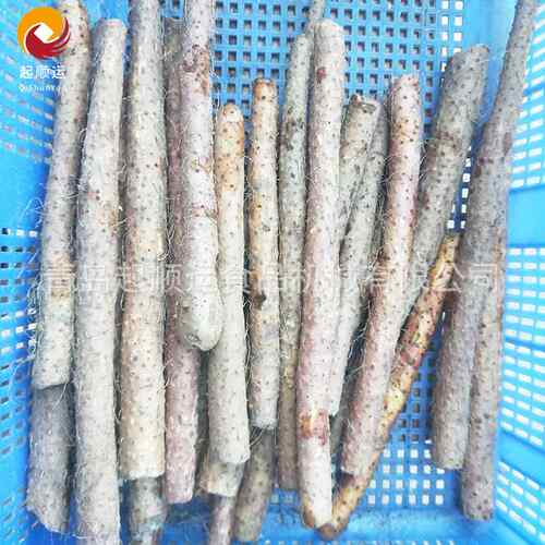 花生铁棍山药去皮机 小型食堂用山药去皮清洗机风干流水线