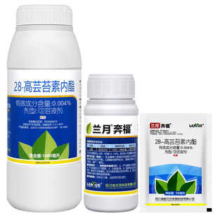 兰月奔福28高芸苔素内酯蔬菜白菜健壮植株增产增收植物生长调节剂