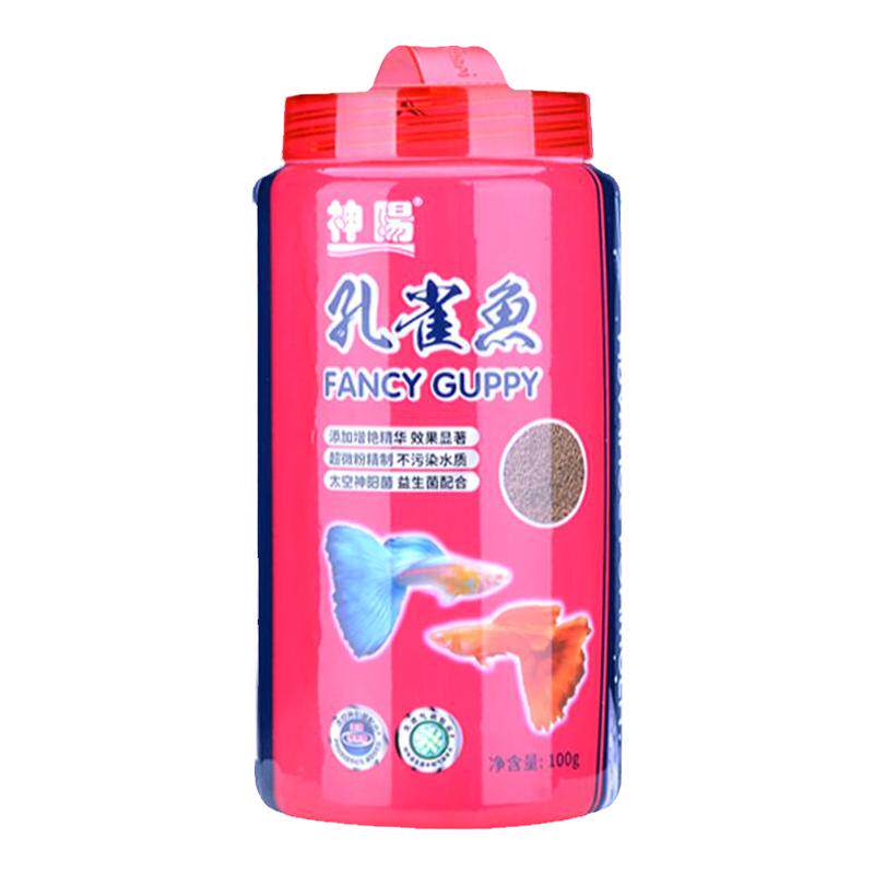 神阳饲料普通观赏鱼鱼红箭鱼小型