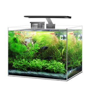 桌面超白玻璃热带鱼缸自循环生态客厅金鱼斗鱼小型免换水真水草景