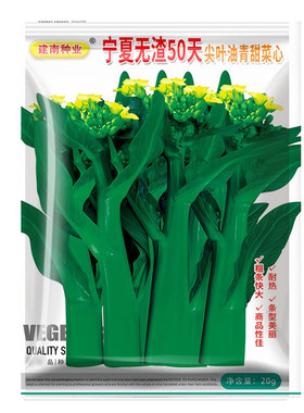 买2送1、今年新种子菜心种子