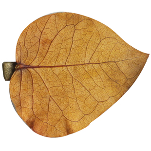 【包邮】进口永生秋冬树叶三色渐变橘红色叶子侧边发夹鸭嘴夹顶夹