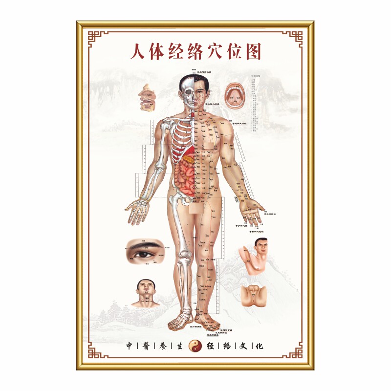 人体经络穴位图大挂图足部标准高清中医艾灸推拿按摩针灸KT板海报