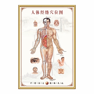 人体经络穴位图大挂图足部标准高清中医艾灸推拿按摩针灸KT板海报