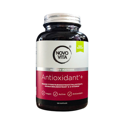 松树皮原花青丹麦碧萝芷