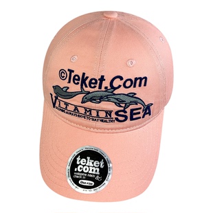 韩国teket潮牌刺绣字母海豚棒球帽男女软顶加深大头围纯棉鸭舌帽