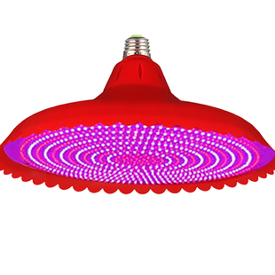 新国标专用猪肉led生鲜灯鲜肉牛羊鸡肉灯肉摊海鲜加大款白光300瓦