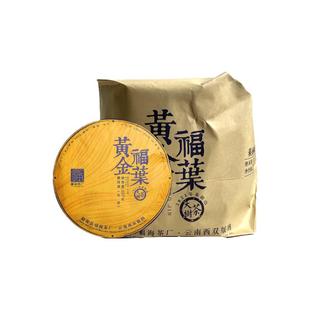 福海茶厂2025年黄金福叶生茶整提老黄片普洱生茶云南普洱茶