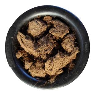 过筛兰花块状泥炭土10-30 20-40mm软植兰花惠兰铺面蝴蝶兰草炭土