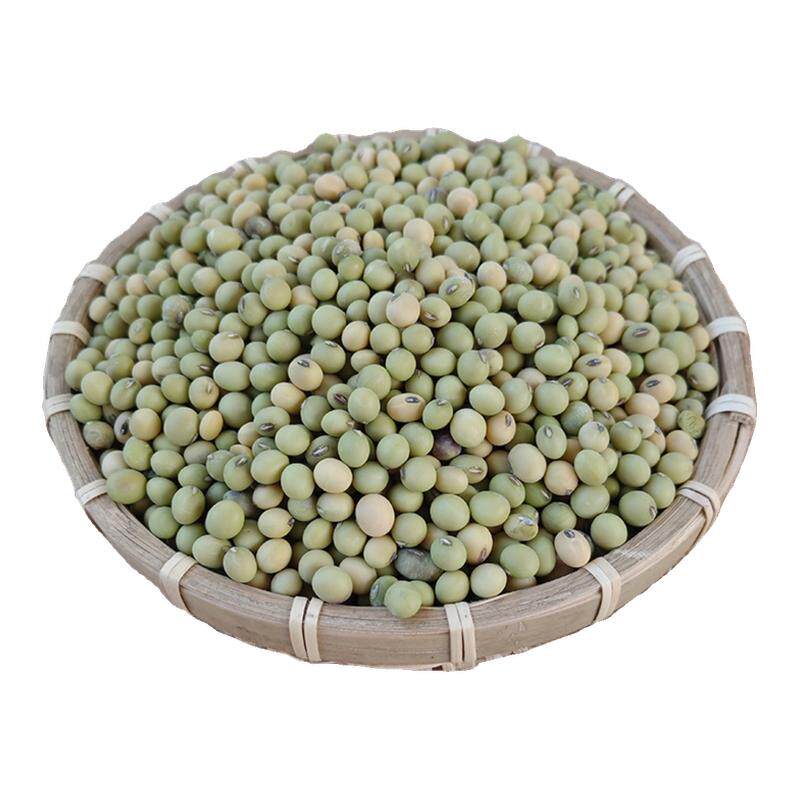 江西农家老品种青黄豆可发芽留种