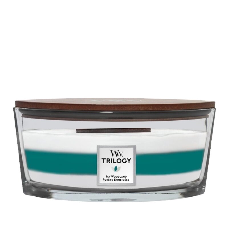woodwick节日礼盒套装美国香薰蜡