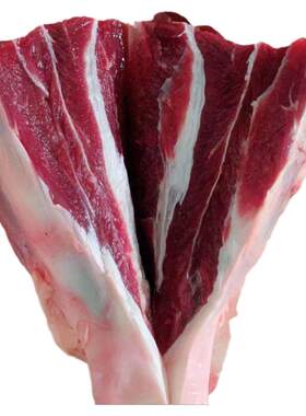牛腱子肉黄牛牛前腿肉新鲜现杀