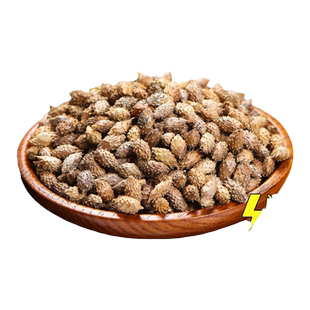 苍耳子中药材野生新货苍耳子茶毛仓子辛夷花炒苍耳子去刺外用喷嚏