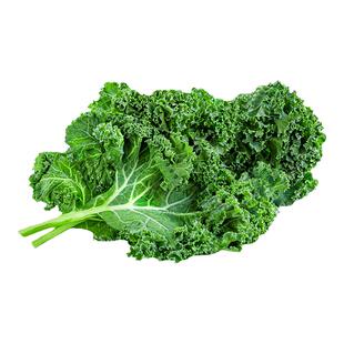 食用羽衣甘蓝种子羽翼雨衣绿紫甘蓝叶牡丹花包菜耐热寒甘蓝菜种子