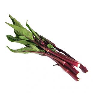 【顺丰包邮】湖北新鲜红菜苔 现摘 紫菜苔 菜心红油菜苔洪菜薹5斤