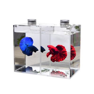 泰斗斗鱼缸高清亚克力对练缸